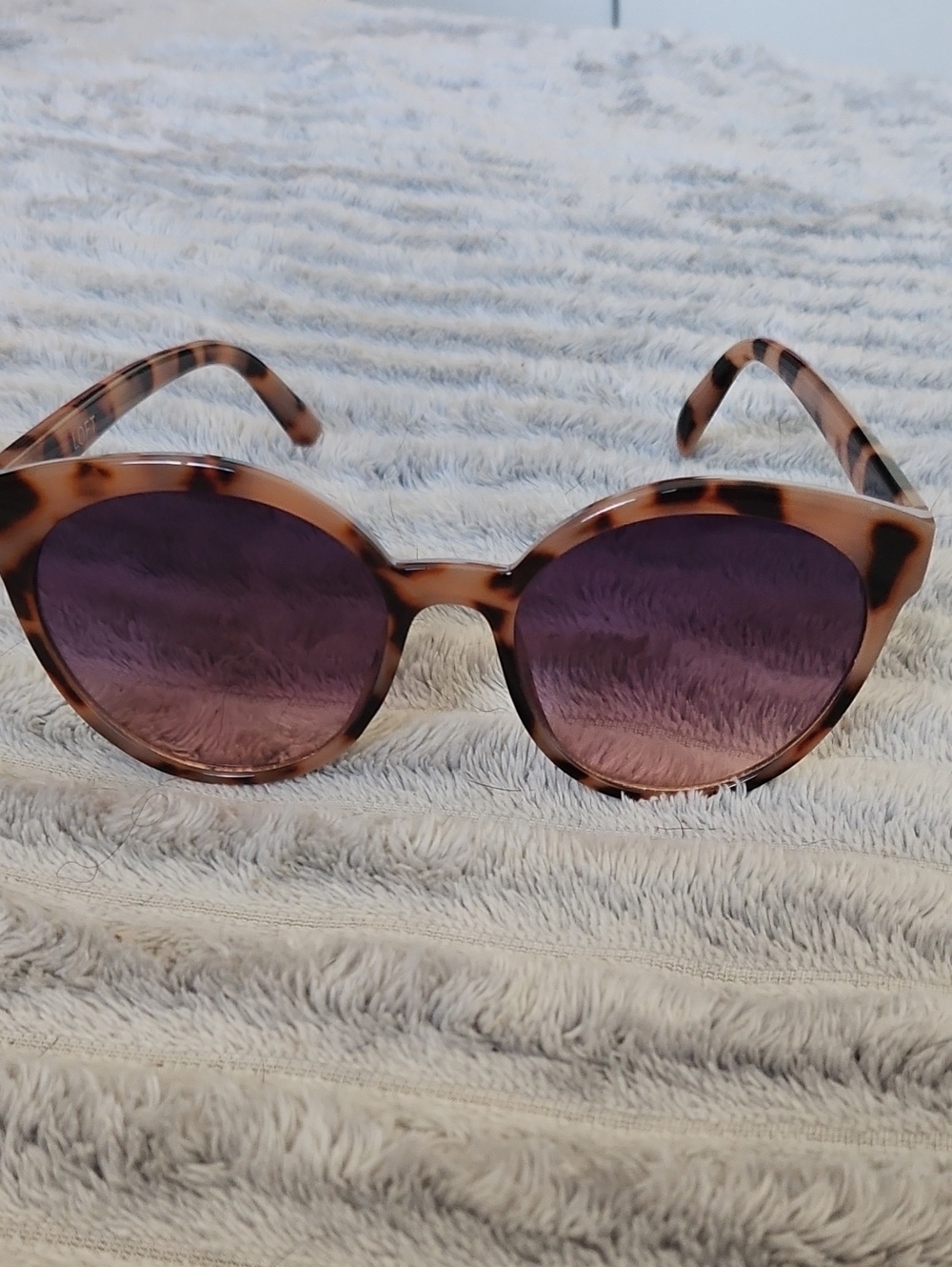 The LOFT Designer Sunglasses